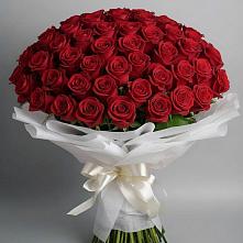 Букет 101 Красная роза Блэк Мэджик в Лазарево