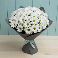 Букет цветов из:  Хризантемы #REPLACE_PRED# Лазарево