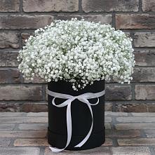 Цветочная композиция из Гипсофила в шляпной коробке в Лазарево
