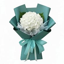 Букет цветов из:  Гортензия в Лазарево